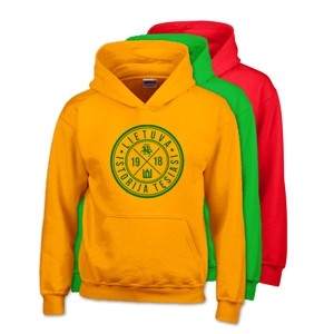Heavy Blend Youth Hooded Sweat "Lithuania 1918"