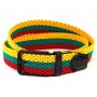 Travel belt with Lithuanian tricolor – For patriots and travelers