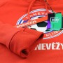 Futball Club Panevėžys 2024 Hooded Sweater