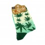 Women green colors weed socks