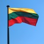 The flag of Lithuania with carabiners