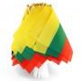 Handheld Lithuania flag for events and celebrations