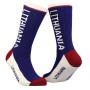 Men's blue socks "Lithuania"