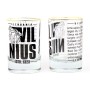 Vilnius history shot glass