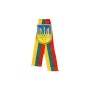 Metal badges of Ukraine with Lithuanian tricolor stripe