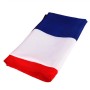 Prancūzijos respublikos vėliava internetu